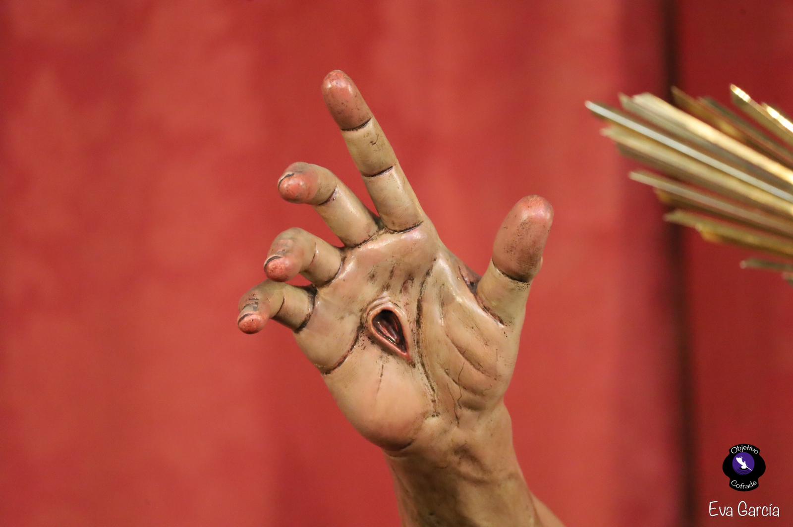 WhatsApp Image 2026-03-01 at 21.33.51 (1)